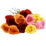 Blooming 12 Long Stemmed Assorted Rose Bouquet