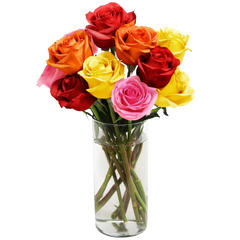Blooming 12 Long Stemmed Assorted Rose Bouquet