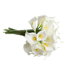 Eforcase Refreshing Calla Lily Bridal Wedding Bouquet Flower Bouquets