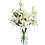 White Lily Bouquet (13 Stems)